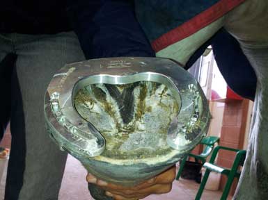 Im Einsatz bei Sebastián Agiló