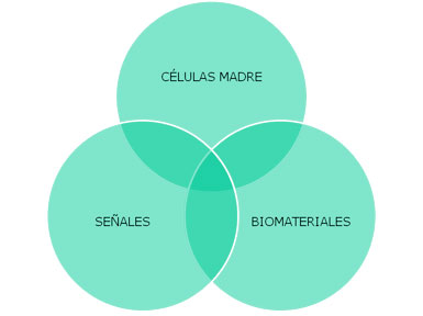 terapia regenerativa